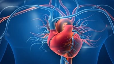 Hypotension and syncope : Causes, symptoms, and prevention