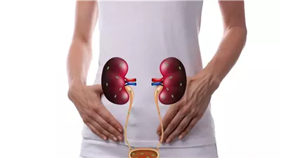 Best Antibiotic for Urinary Tract Infection