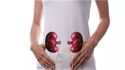Natural herbs for urinary tract infections