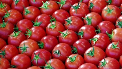 Tomatoes : Benefits and Dangers