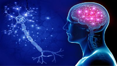 Alzheimer's Disease: Causes, Symptoms, and Treatment