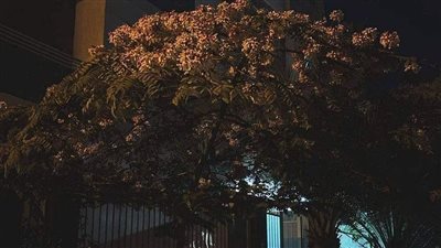 رجل تزوج من إمرأة..يعيش معها في بيت زوجية هادىء