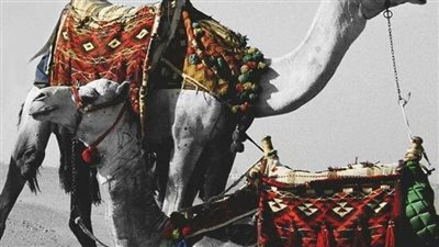 يروى ان مالك بن دينار قال يوماً