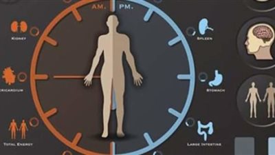 ساعة جسمك البيولوجية .. اهميتها ومخاطـر اختلالها