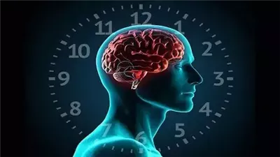 Your Biological Clock: Importance and Risks of Disruption