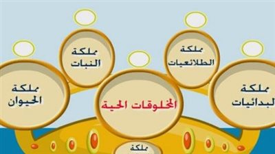 لينيوس أبو علم التصنيف الحديث