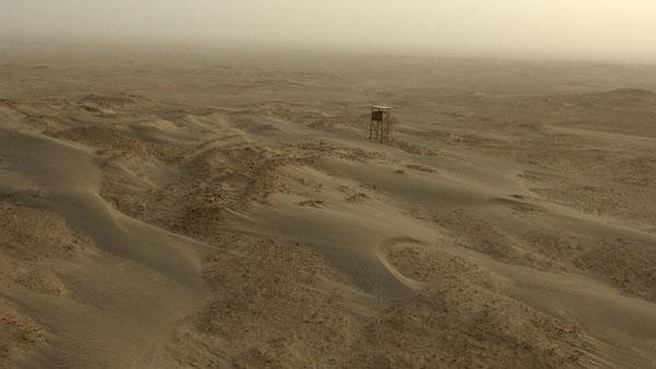 موقع أيام نيوز