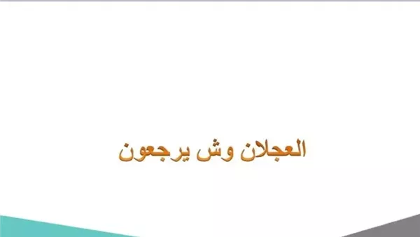 موقع أيام نيوز