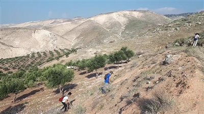 قرية مخربا : وجهة سياحية مميزة في محافظة إربد