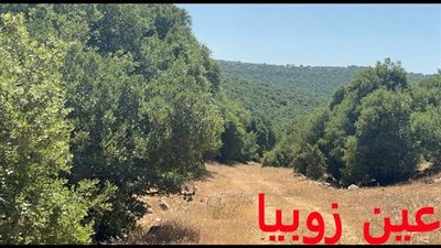 زوبيا : بلدة الطبيعة الخلابة في شمال الأردن