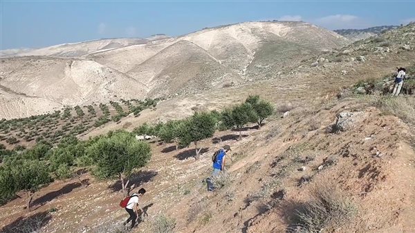 موقع أيام نيوز