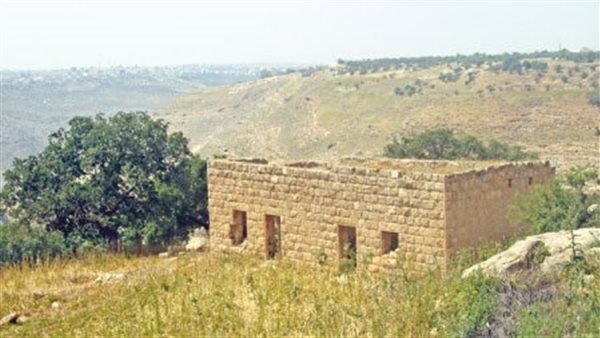 موقع أيام نيوز