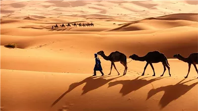 ما هو اصل عائلة الجحدلي ؟
