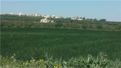 خړجا : قرية الجمال الطبيعي والتاريخ العريق في شمال الأردن