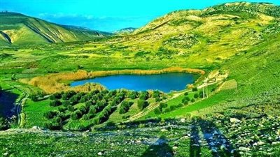 قرية المخيبة : وجهة سياحية خلابة في محافظة إربد