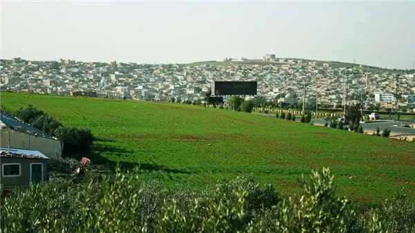 موقع أيام نيوز