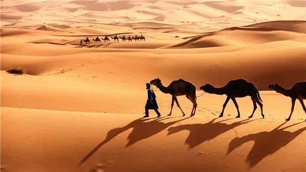 موقع أيام نيوز