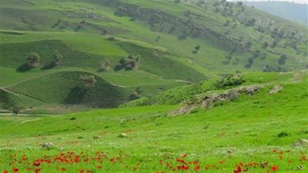 موقع أيام نيوز