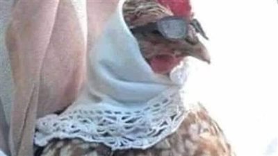 واحد أعرفه أخته إتطلقت، فجدد شقة أبوه وأمه من سباكة لسراميك لنقاشة