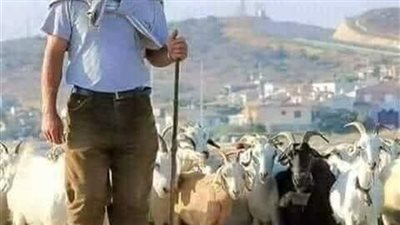 قصة قال لها اريد ان اخطبك