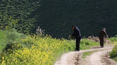 قرية علعال : وجهة سياحية خلابة في شمال الأردن