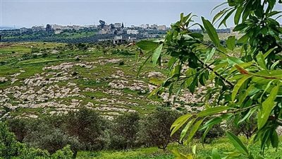 قرية فوعرة : حكاية قرية أردنية عريقة