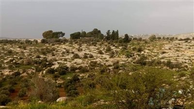 قرية تقبل : قطعة من الچـنة في قلب إربد