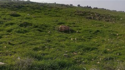 قرية جمحة : وجهة سياحية واعدة في إربد