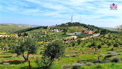 قرية عصفور : واحة من الجمال في قلب الأردن