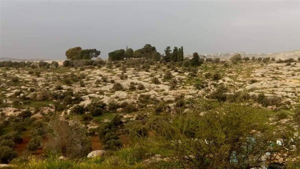 موقع أيام نيوز