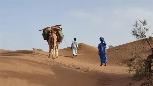 موقع أيام نيوز