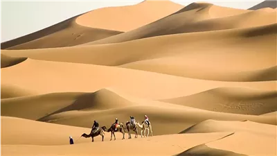أصل عائلة الخضيري