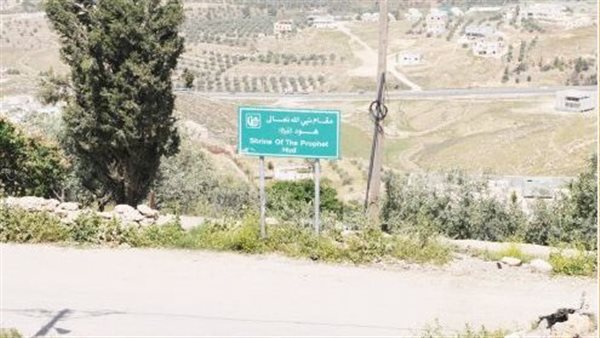 موقع أيام نيوز