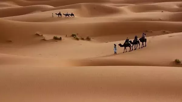 موقع أيام نيوز