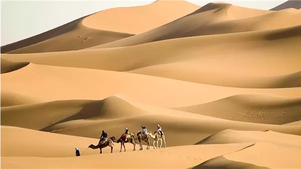 موقع أيام نيوز