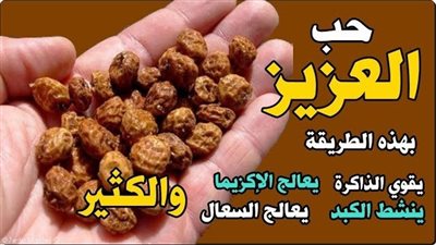حب العزيز : فوائده واستخداماته