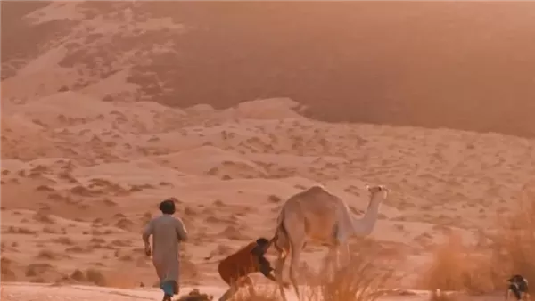 موقع أيام نيوز