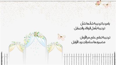 كيف يمكنني رفض دعوة عشاء بطريقة لطيفة ؟