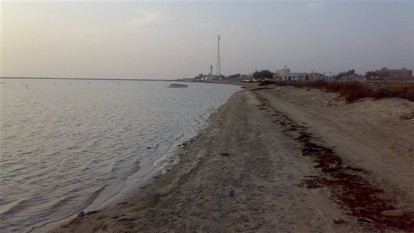 موقع أيام نيوز