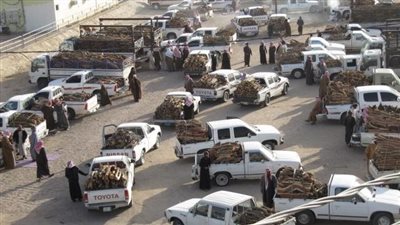 الرويضة بوابة نجد إلى الشمال