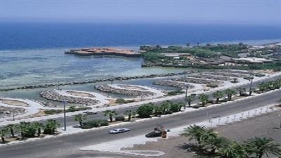 ذهبان درة البحر الأحمر