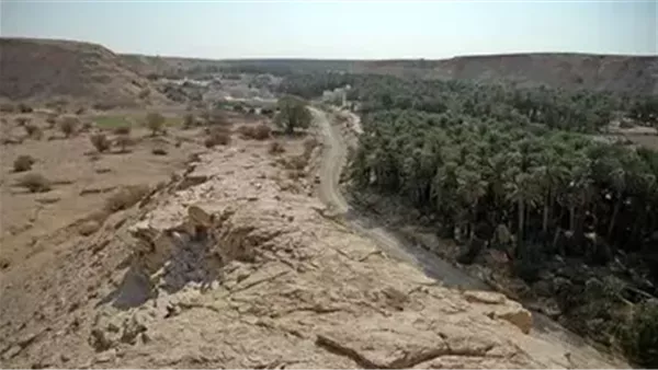 موقع أيام نيوز