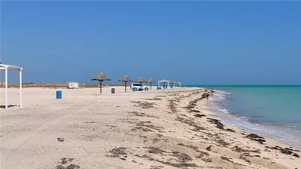 موقع أيام نيوز