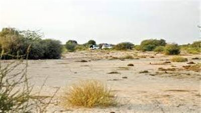 روضة أم الشخوط وجهة سياحية طبيعية في قطر