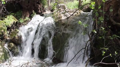 قرية الساخنة في عجلون