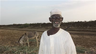 إقليم الجزيرة سلة غذاء السودان