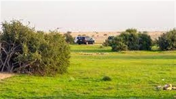 موقع أيام نيوز