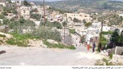 قرية العامرية في عجلون