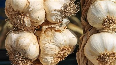 الشراء بات بالرأس والرأسين.. توقعات بعدم انخفاض سعر الثوم قبل أيار المقبل