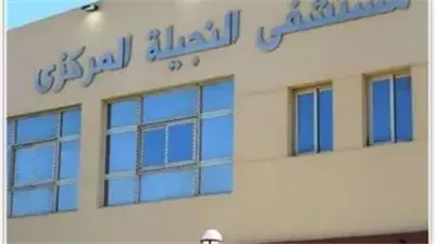 مدينة النجيلة مدينة مصرية هادئة